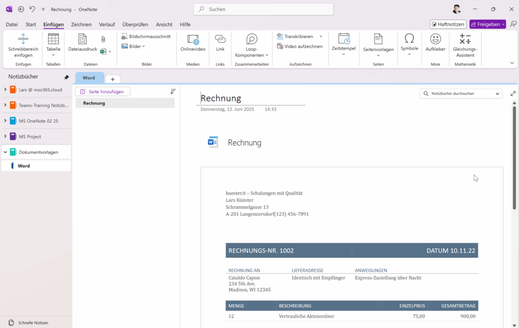 OneNote App mit einer neuen Seite auf der ein Ausdruck der Dokumentvorlage zu sehen ist. Inklusive der Möglichkeit die angehängte Datei zu verwenden.